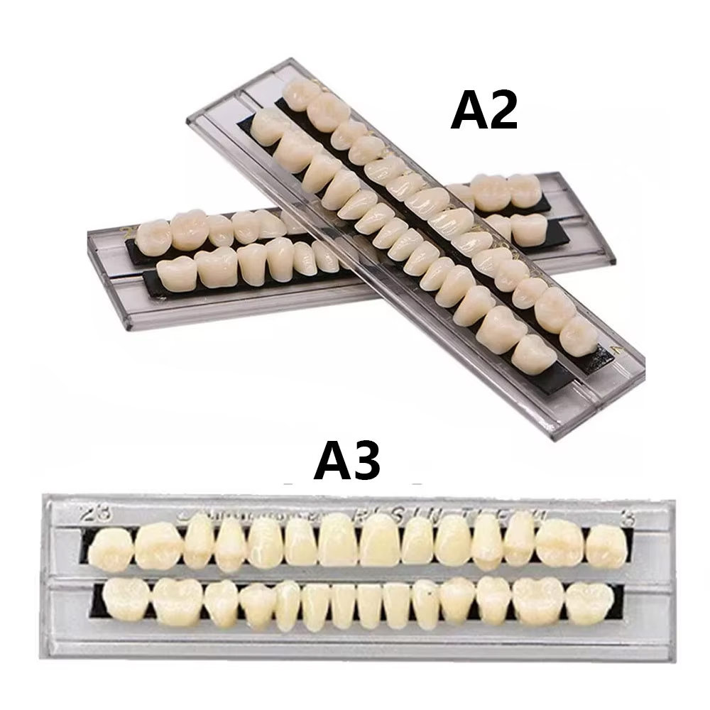 28 Teeth Dental Denture Acrylic Resin Full Teeth – agdentool